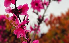 男女之间打扑克